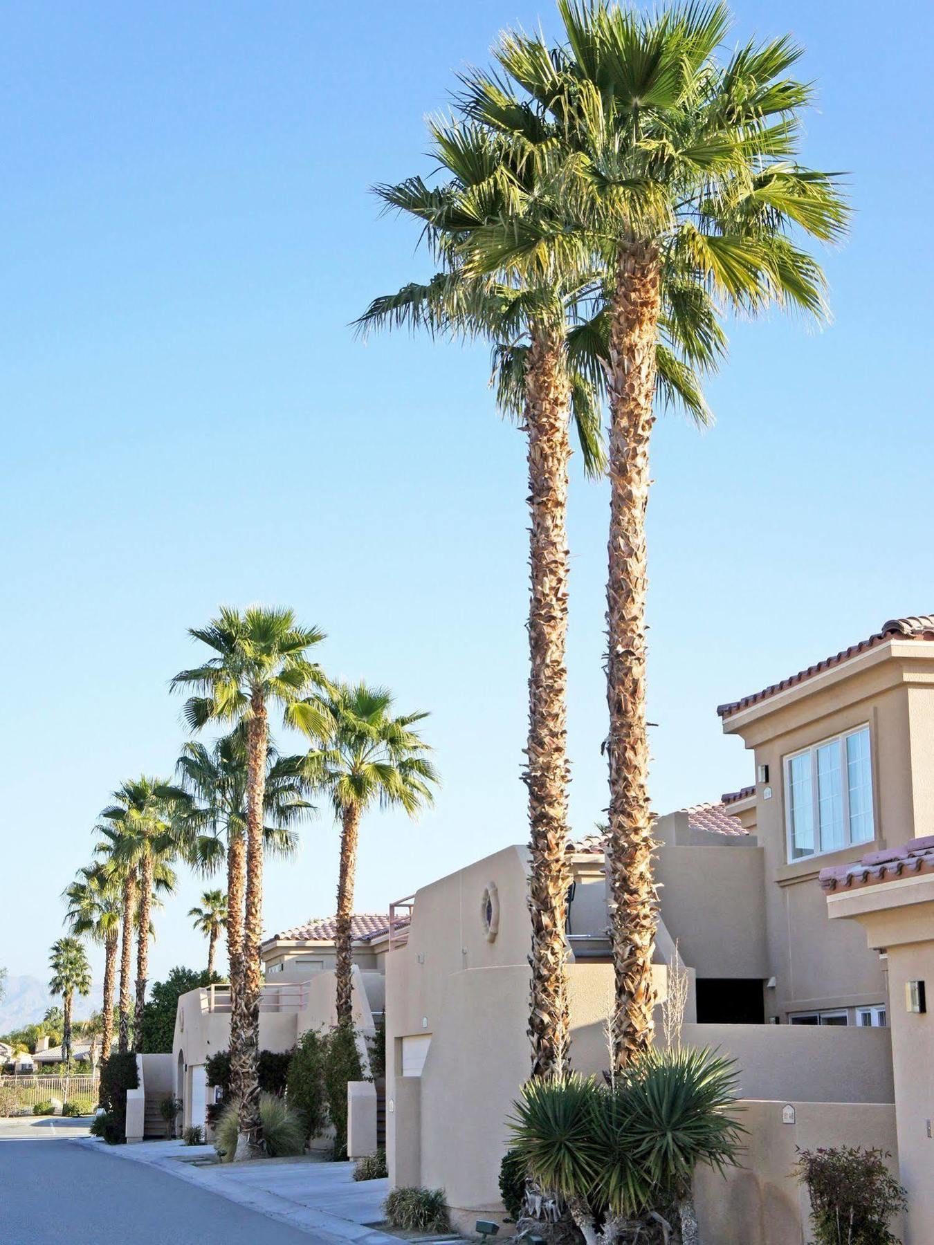 Raintree'S Cimarron Golf Resort Palm Springs Cathedral City Exterior foto